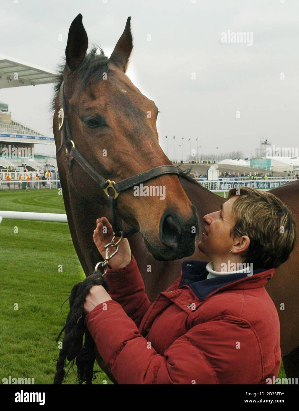 Back at the scene of his Grand National glory, Monty's Pass, the winner of the Aintree Grand National last year, with Mary Mangan the wife of the trainer James Mangan. Stock Photo
