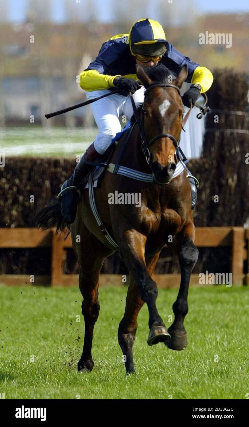 Mister McGoldrick ridden by Dominic Elsworth, goes on to win the Ashleybank Investments Novices' Chase (Class C) at Ayr racecourse during the Scottish Grand National Festival.  Held at Ayr since 1966 (after the closure of Bogside), the four mile, one furlong National Hunt race was won in 2003 by Ryalux, with jocky Richard McGrath, pipping Tony McCoy on Stormez at the post. Stock Photo