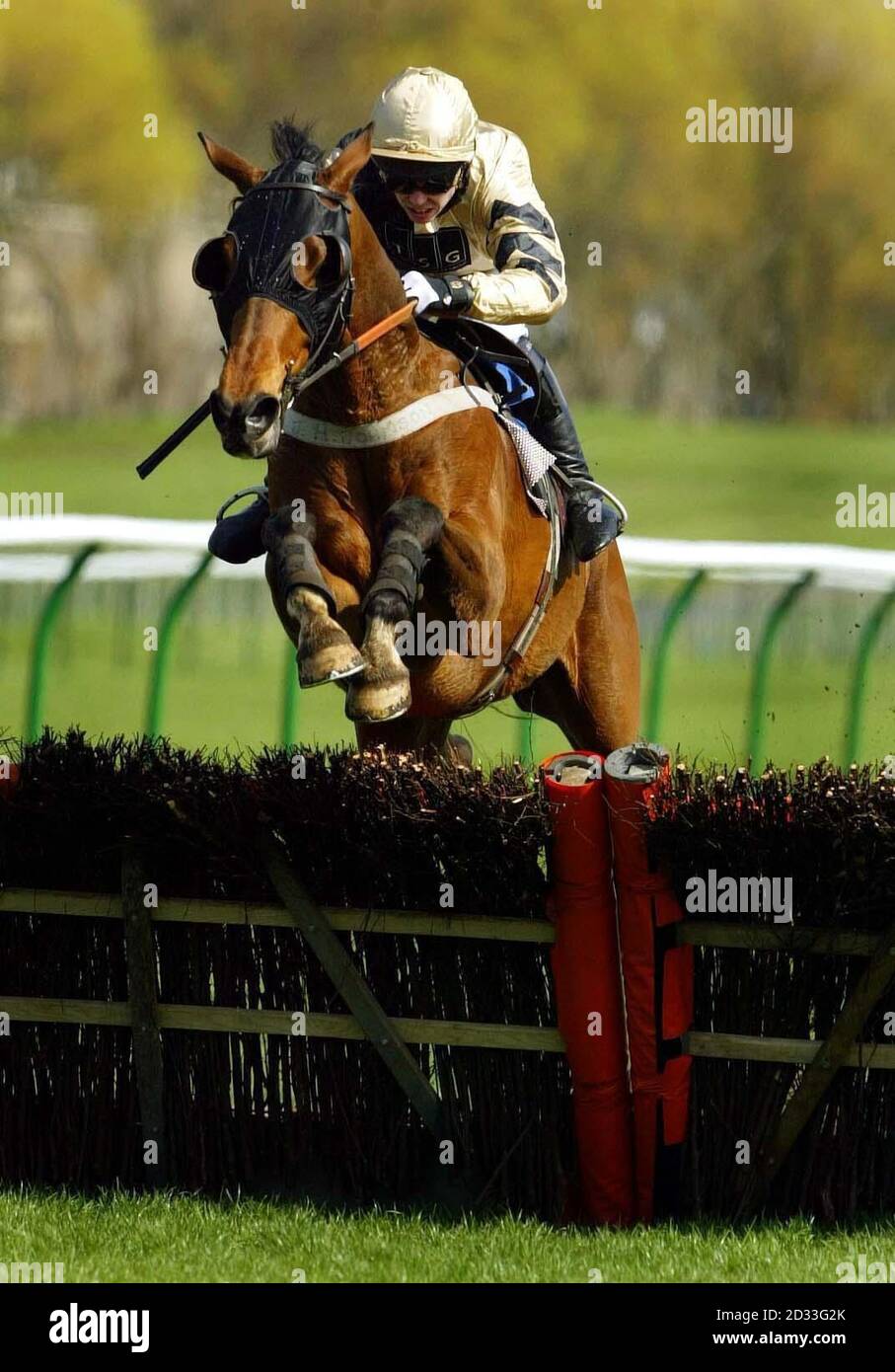 Chivalry ridden by Graham Lee, goes on to win the 2.20 James Barr Novices Hurdle (Class C) at Ayr racecourse during the Scottish Grand National Festival.  Held at Ayr since 1966 (after the closure of Bogside), the four mile, one furlong National Hunt race was won in 2003 by Ryalux, with jocky Richard McGrath, pipping Tony McCoy on Stormez at the post. Stock Photo
