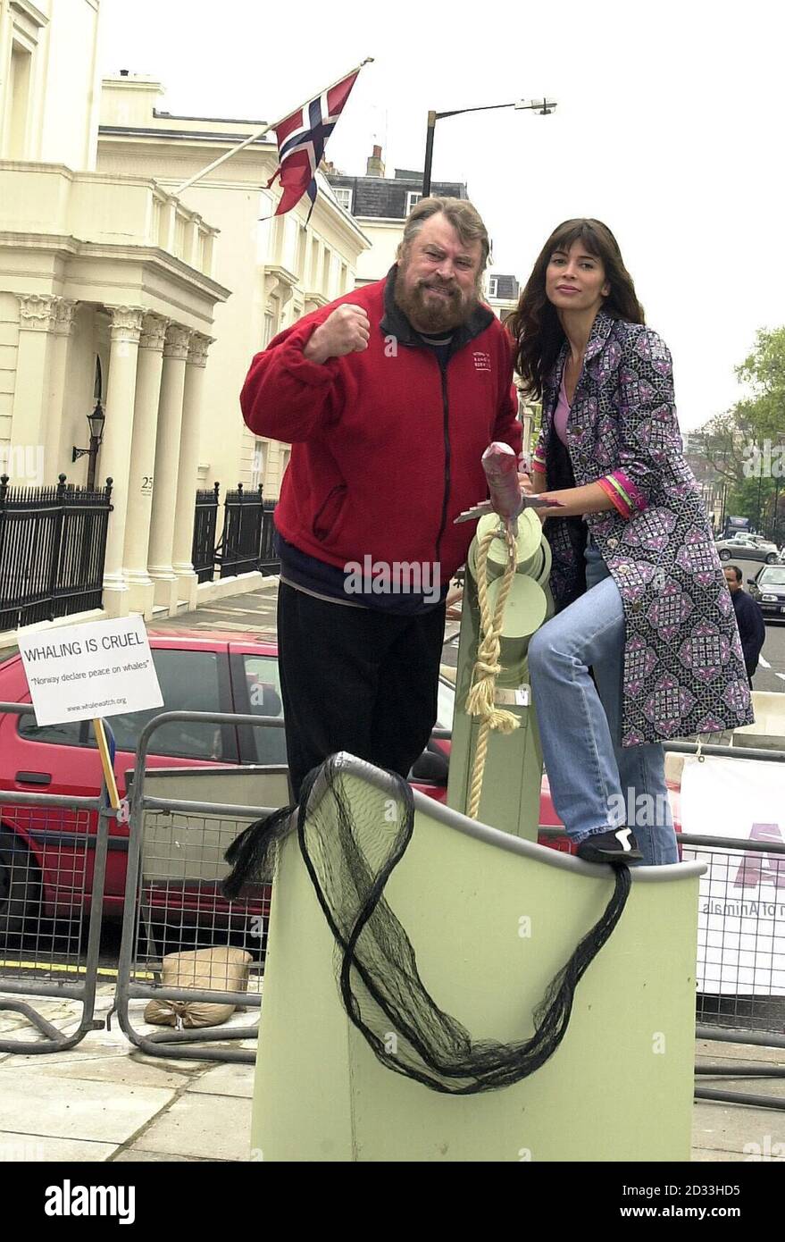 Model Lisa B and actor Brian Blessed join an anti-whaling protest outside the Norwegian Embassy in London on the opening day of Norway's whaling season during which 670 whales are expected to be killed. Although commercial whaling has been banned since 1986, over 20,000 whales have been killed since the ban came into force. Stock Photo