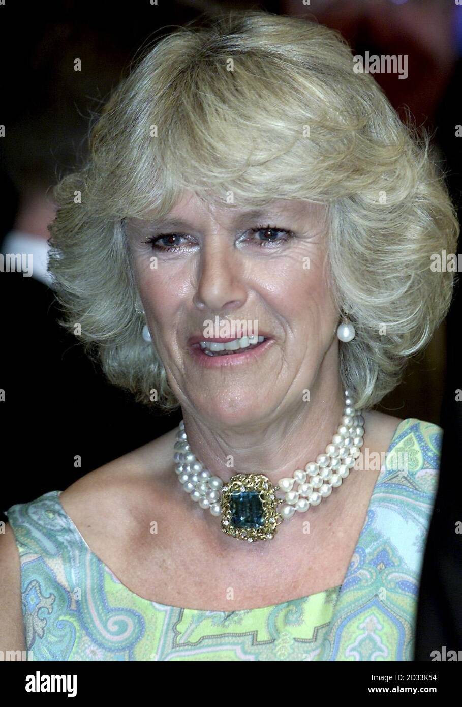 Camilla Parker Bowles arrives for a performance of Mama Mia at the re-opening of the Prince of Wales Theatre in London. Stock Photo
