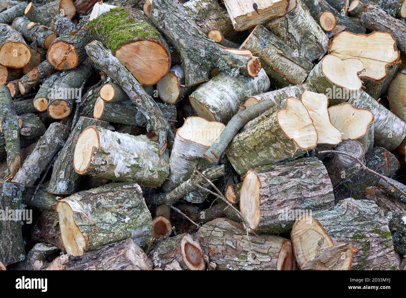 Firewood, cut from tree trunks and branches, in a pile Stock Photo Alamy