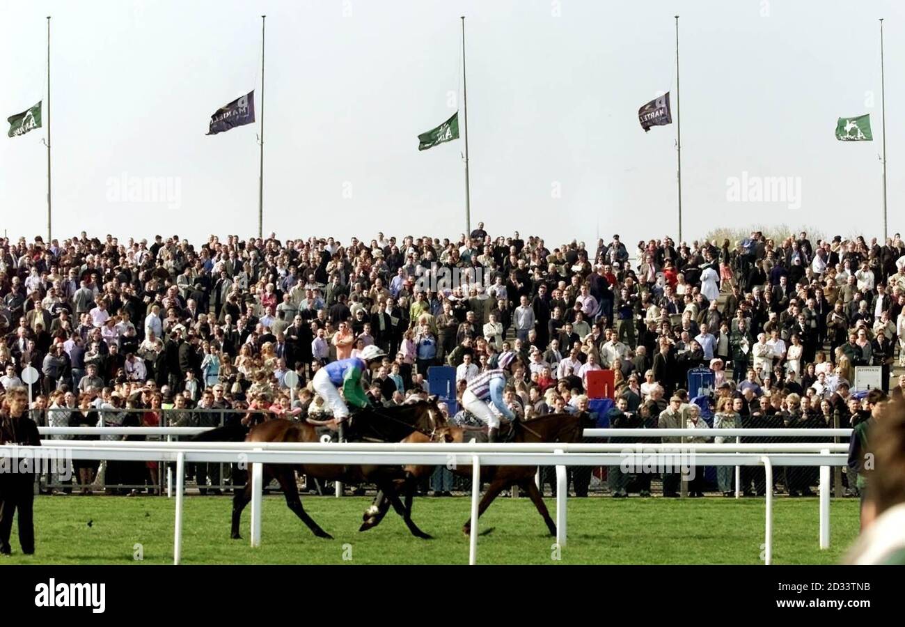 Start martell melling steeplechase aintree hires stock photography and