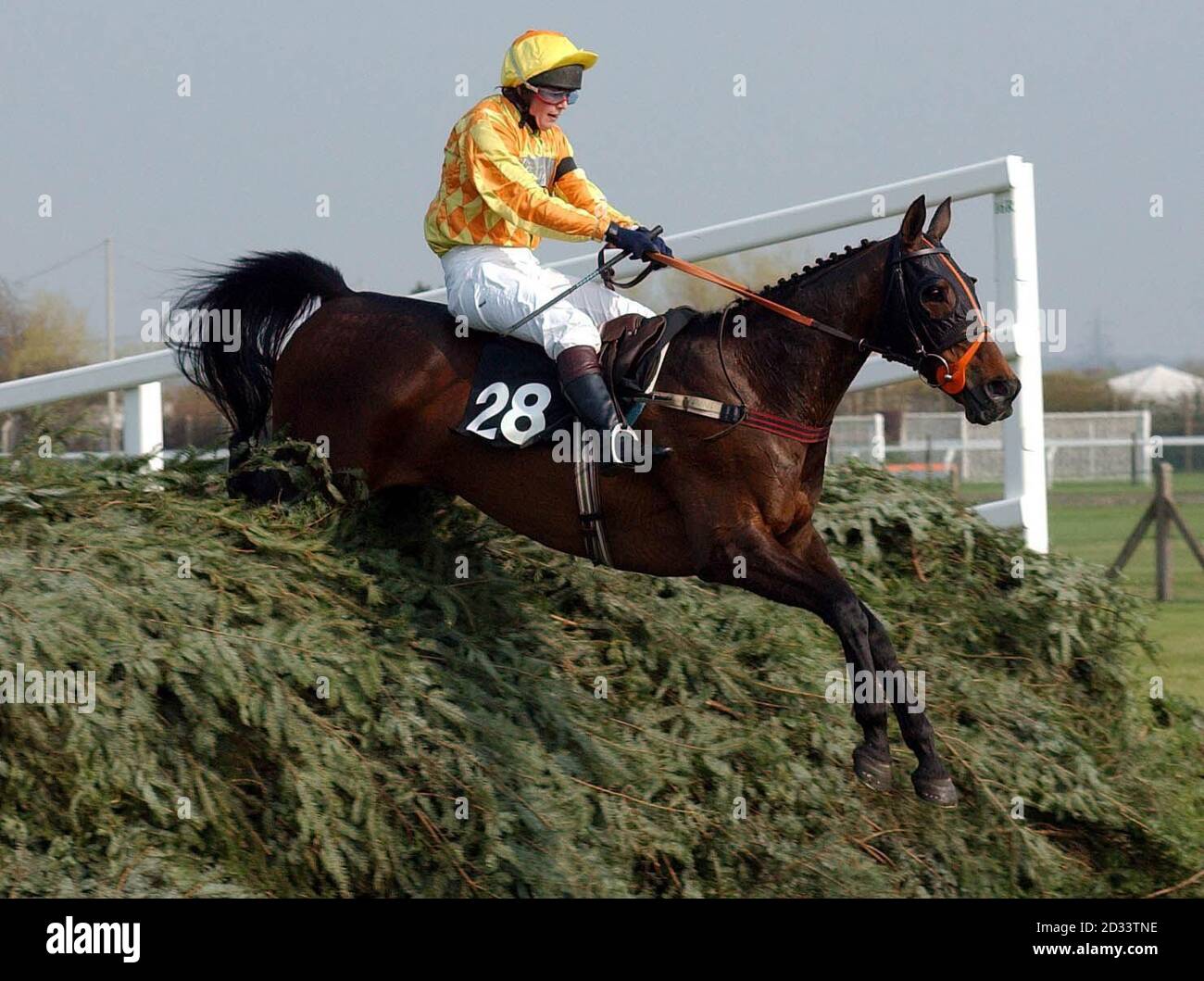 Miss Polly Gundry on Torduff Express jumps the last of the mighty Grand National fences to win the Martell Foxhunters Chase at Aintree. Stock Photo