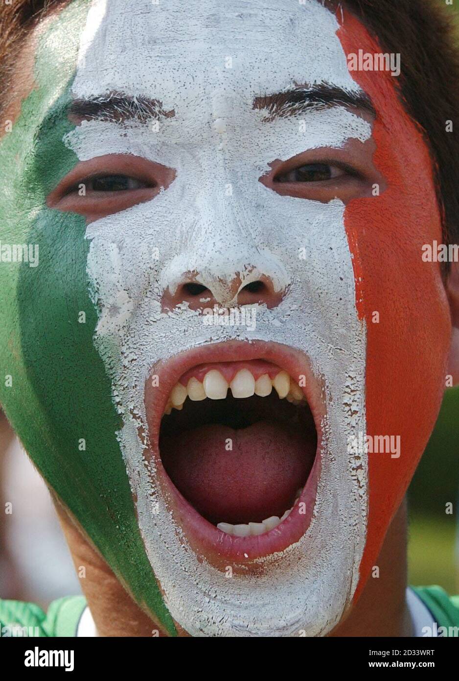 A Japanese fan in Irish facepaint gets ready for the Republic of Ireland clash against Germany, at the Kashima Stadium, Ibaraki, Japan. The Republic of Ireland take on Germany in their second Group E, World Cup Finals match.  * ...  after having drawn their first match against Cameroon 1-1. Stock Photo