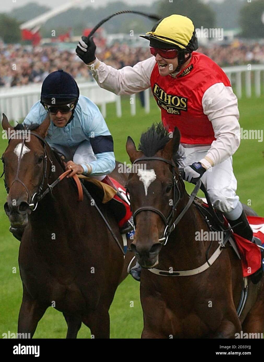The Racing Success System By R Rothman Win rothmans royals st hi-res stock photography and images - Alamy