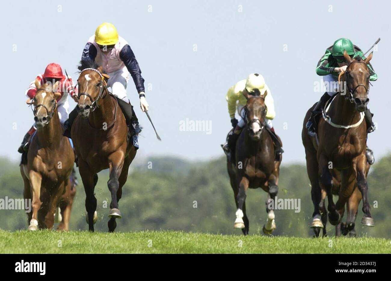 High Accolade ridden by Martin Dwyer (yellow hat) pips Kevin Dalgleish's mount Delsarte (far right) to the line, to win the King Edward VII Stakes at Royal Ascot. Stock Photo