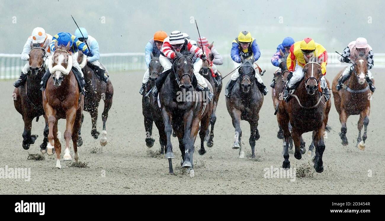Omaha City ridden by Francis Norton (centre) goes onto win the 14.50 bet direct on super league grand final handicap stakes at Lingfield race course in Surrey. Stock Photo