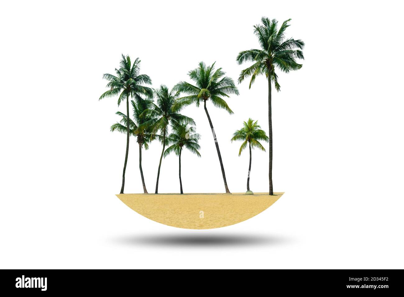 Group of coconut trees with the sands on the beach isolated on white background Stock Photo Alamy