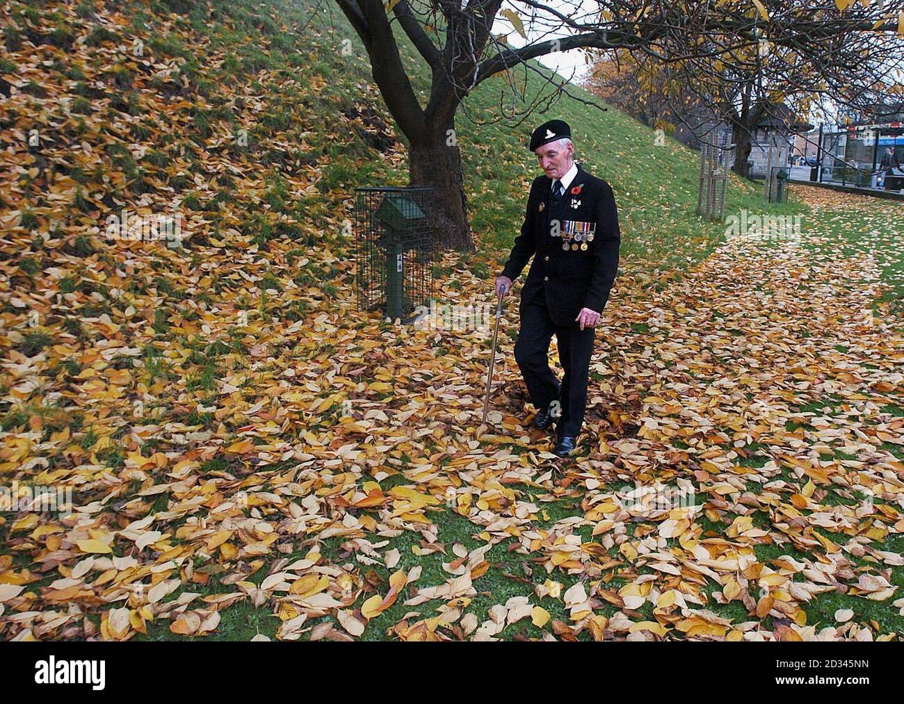 York remembrance day