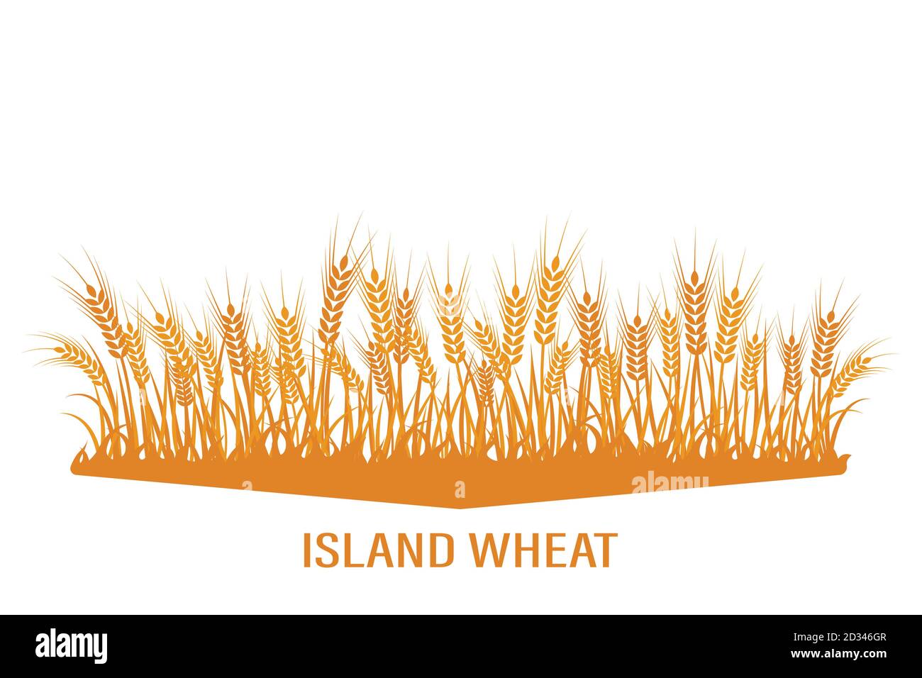 Vector silhouette of wheat. Wheat in the field on a white background Stock Vector