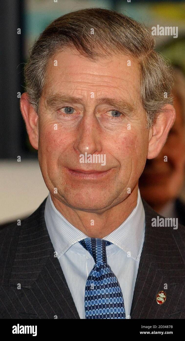 The Prince of Wales Stock Photo Alamy
