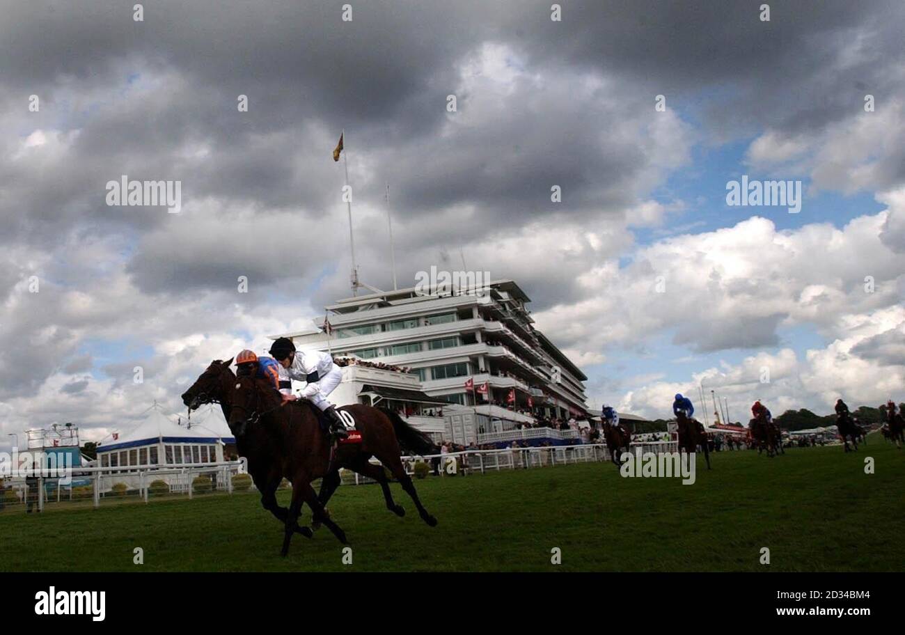 Photo 12x8 Signée Johnny Murtagh - Rocher De Gibraltar - Avec Certificat