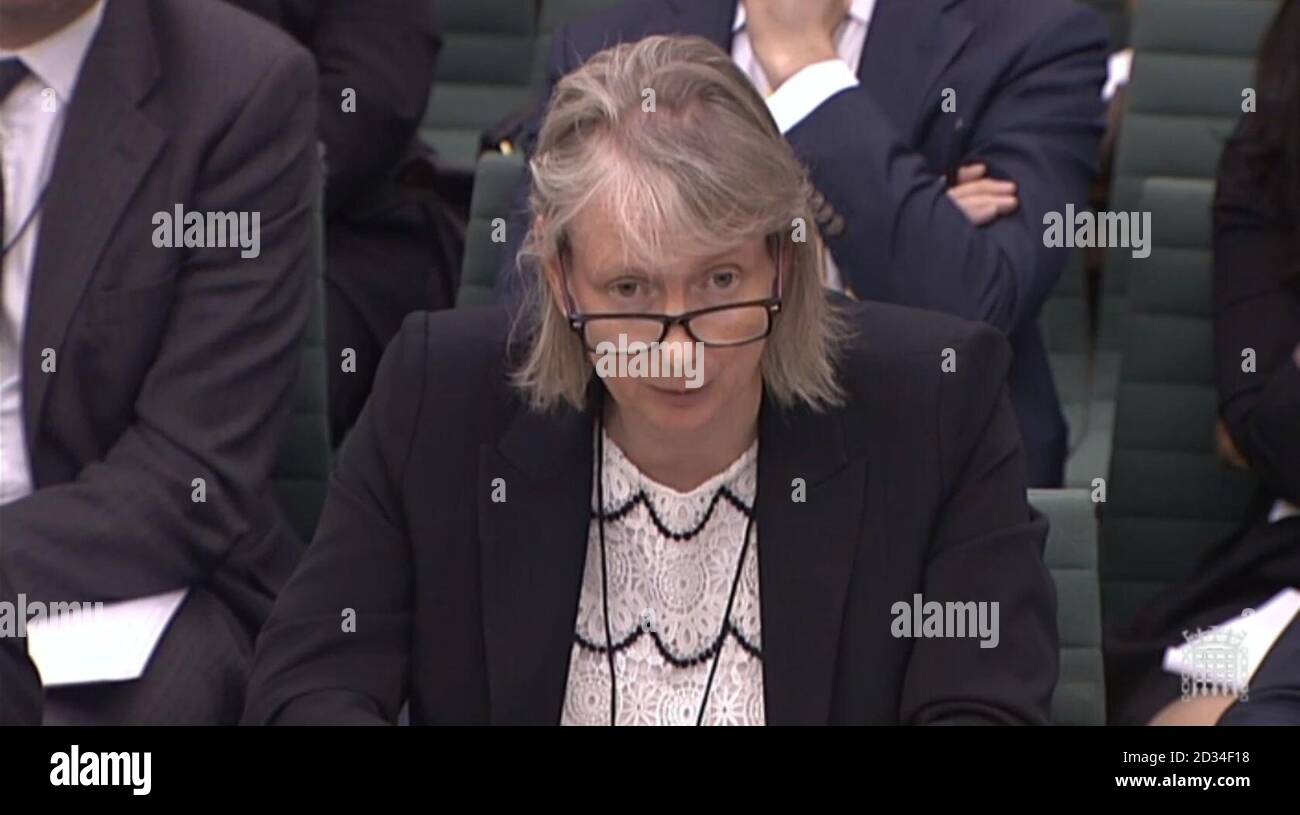 Gillian Hague, Director of Arcadia Group and Taveta Investments Ltd