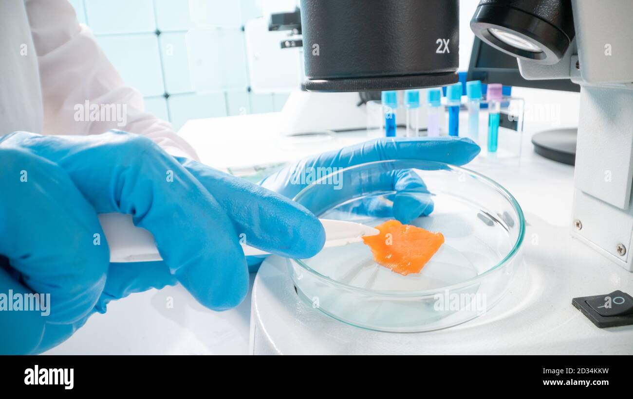 Meat Quality Inspection Inspection of meat and fish quality in the food quality laboratory ...