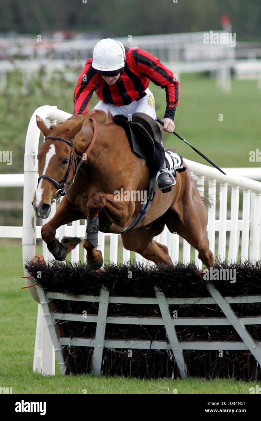 Asian Maze and Jockey Ruby Walsh jump the last hurdle to win the