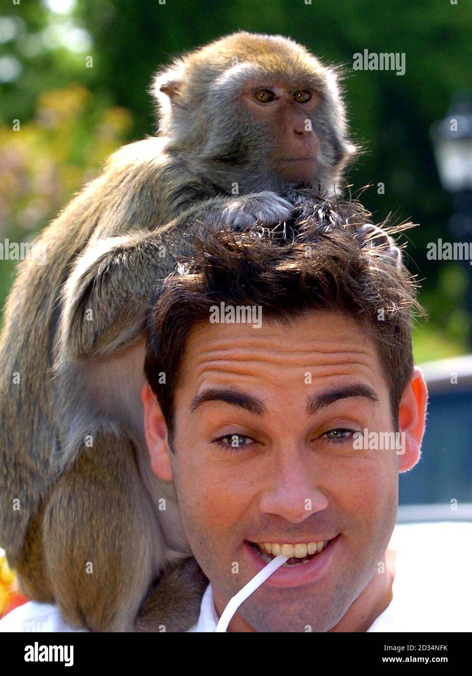 Katy the Rhesus monkey gets acquainted with actor Giles Vickers-Jones in London's Regents Park, during an advertising shoot. PRESS ASSOCIATION Photo. Picture date: Wednesday May 10, 2006. The fantasy advert, for exotic fruit drink Rubicon, features Giles Vickers-Jones riding through the park in a rickshaw. PRESS ASSOCIATION Photo. Photo credit should read: Ian Nicholson/PA Stock Photo