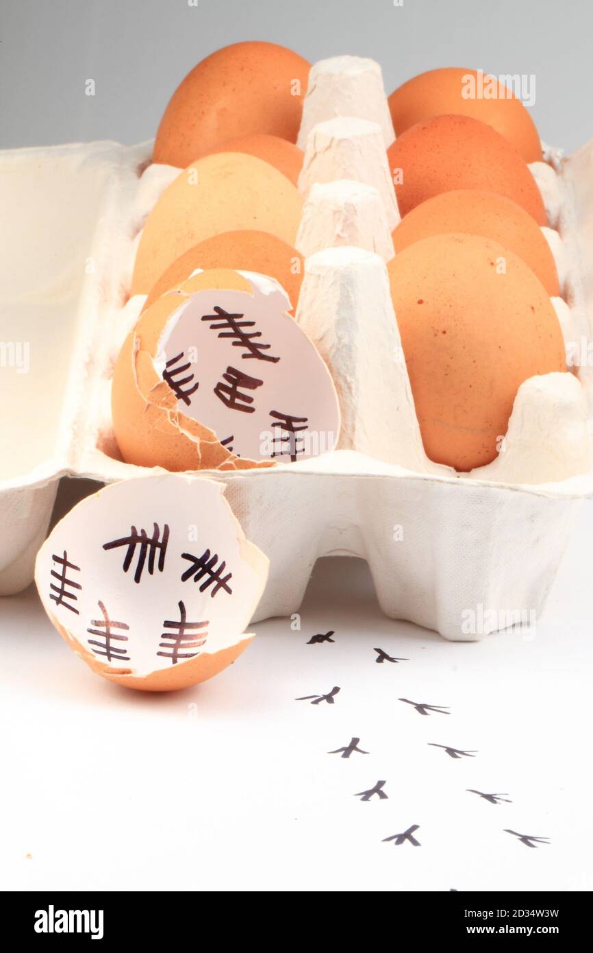 empty egg shells isolated on the white background Stock Photo Alamy