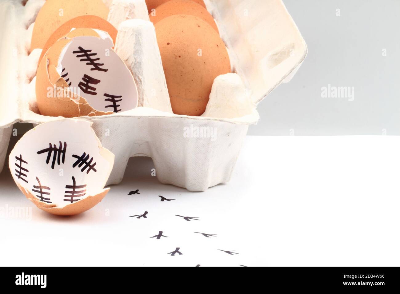 empty egg shells isolated on the white background Stock Photo Alamy