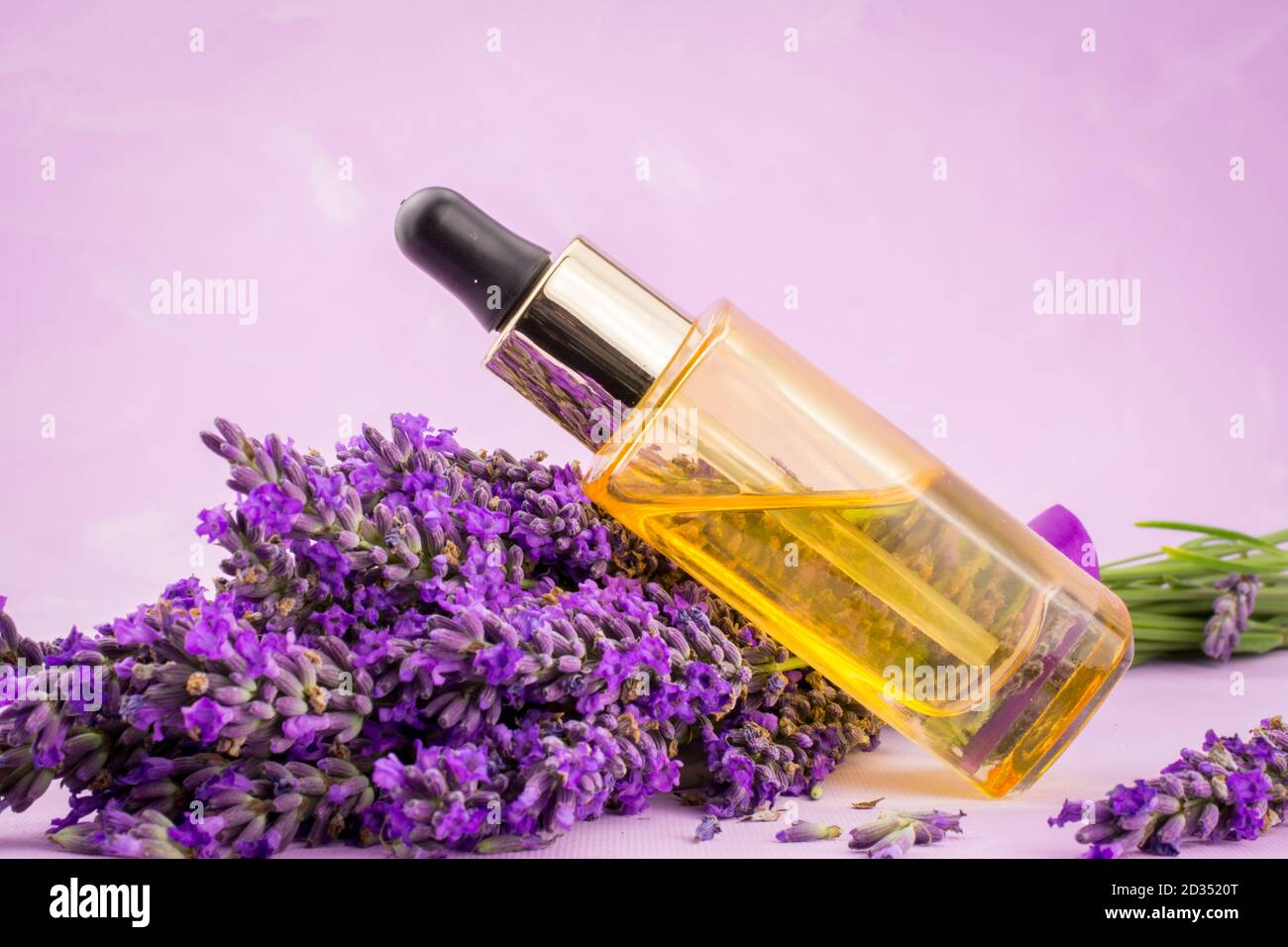 Close up of luxury perfume bottle with blurry bokeh light background,  fragrance branding product for mock up, packaging design with Generative  Ai. 23814307 Stock Photo at Vecteezy
