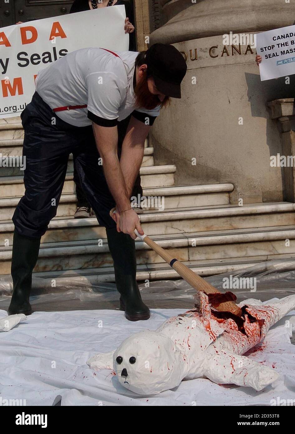 Members of the animal welfare group PETA stage a protest outside the Canadian embassy in London, before the start of the annual seal hunt in Newfoundland. Stock Photo