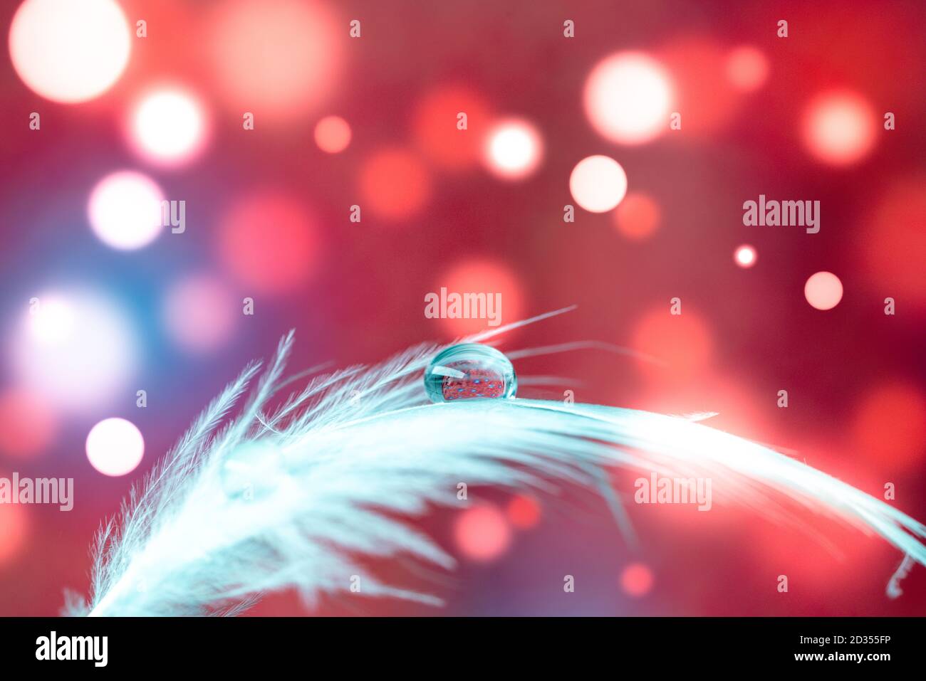 Bird feather on bokeh background with water drop Stock Photo Alamy