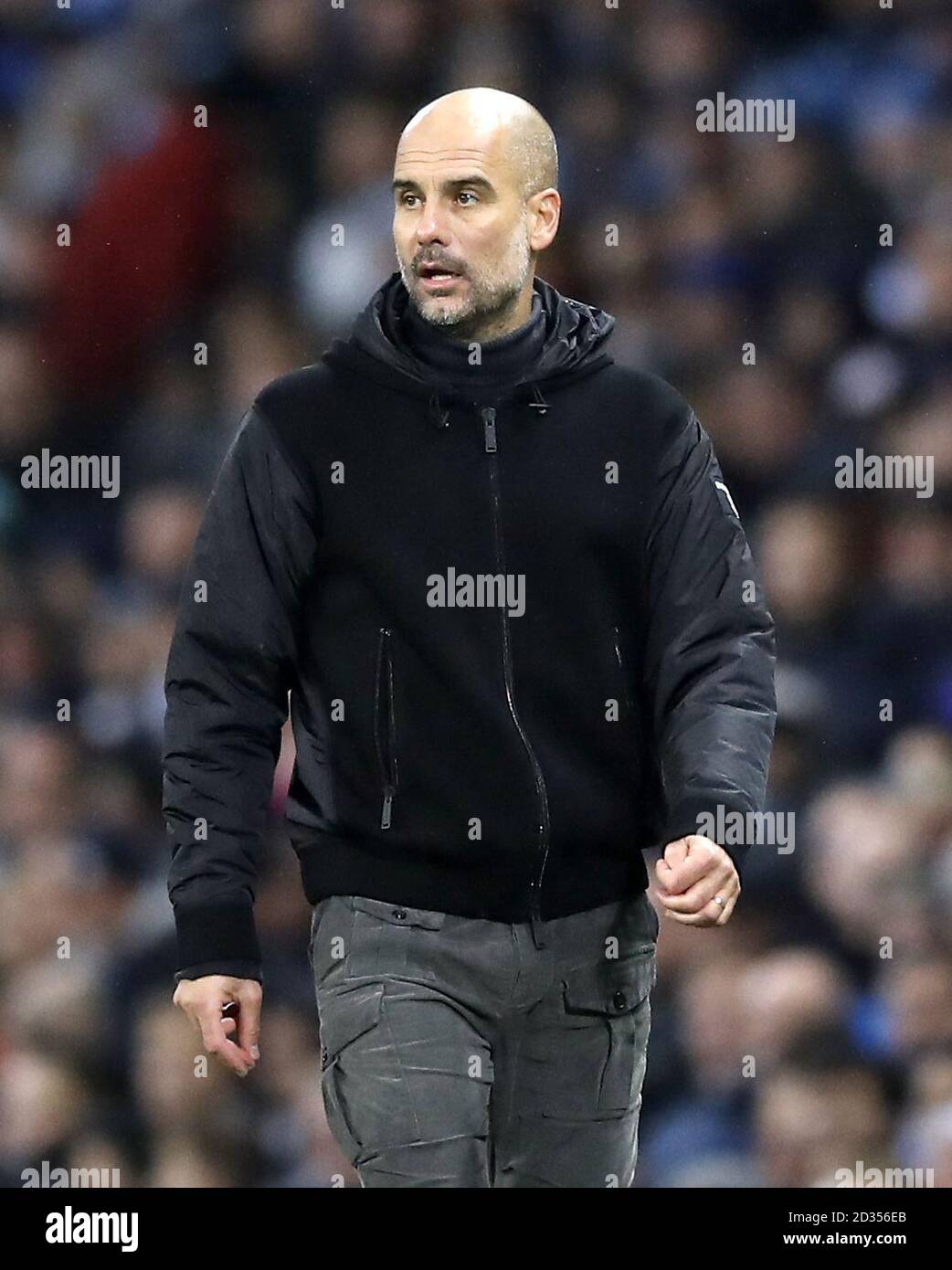 Manchester City Manager Pep Guardiola Stock Photo Alamy manchester-city-manager-pep-guardiola-stock-photo-alamy