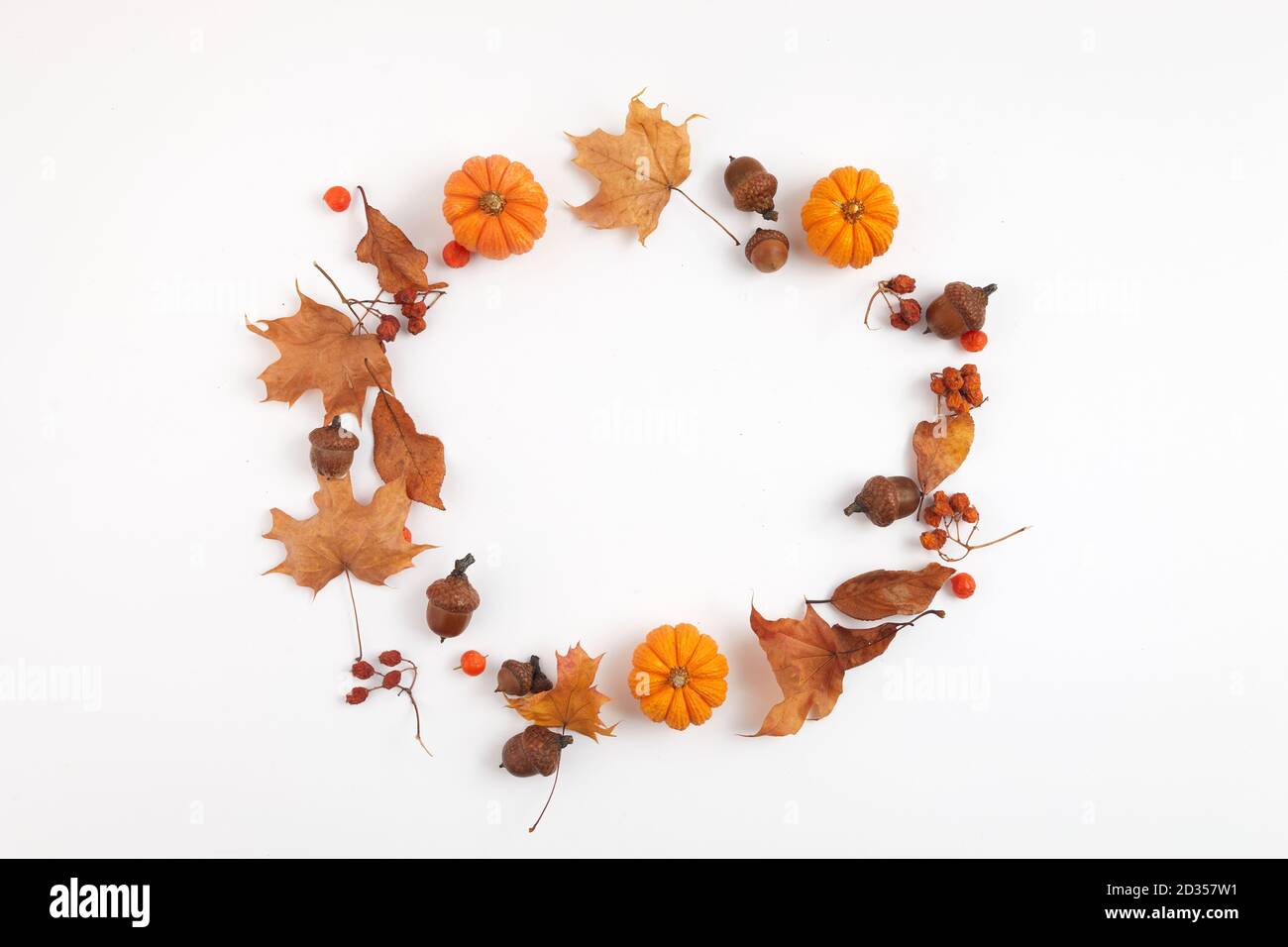 Autumn composition. Round frame from dried leaves and pumpkins on white ...