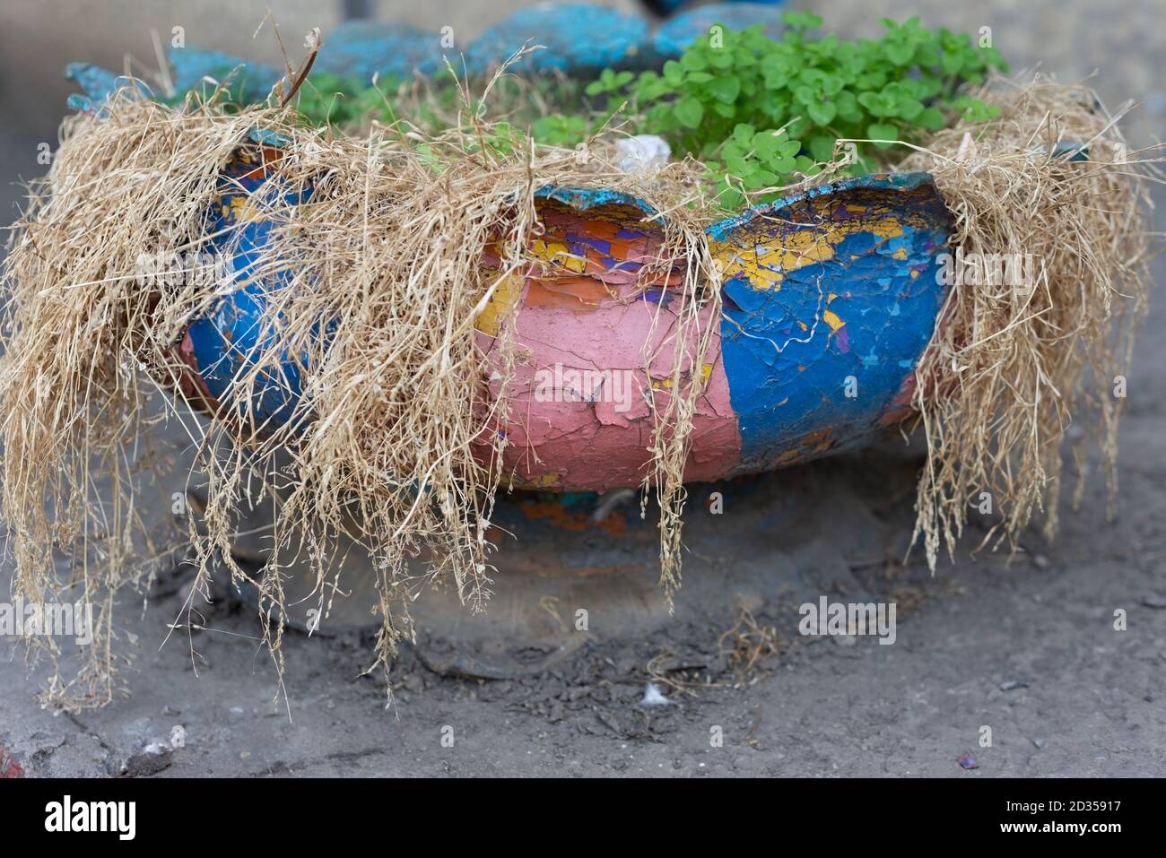 recycling car tires as decorative flower vases Cultivation vegetables