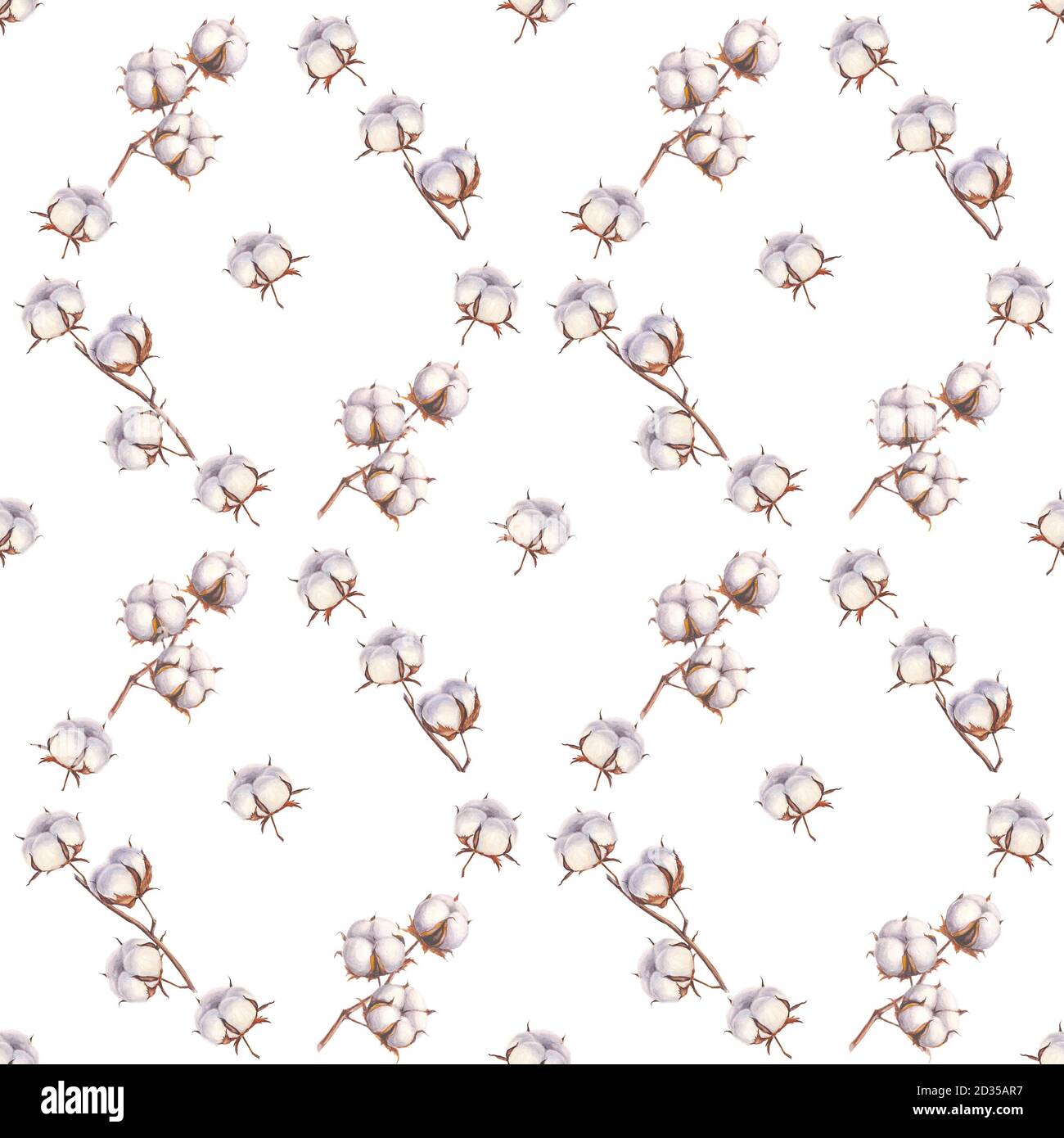 Watercolor hand drawn cotton flowers seamless pattern on white ...