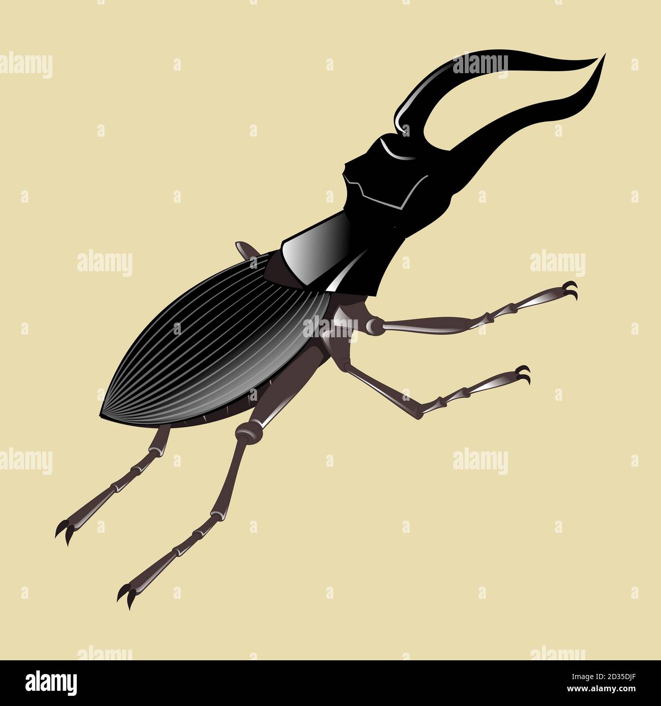El escarabajo ciervo volante es el más grande de Europa Stock Photo