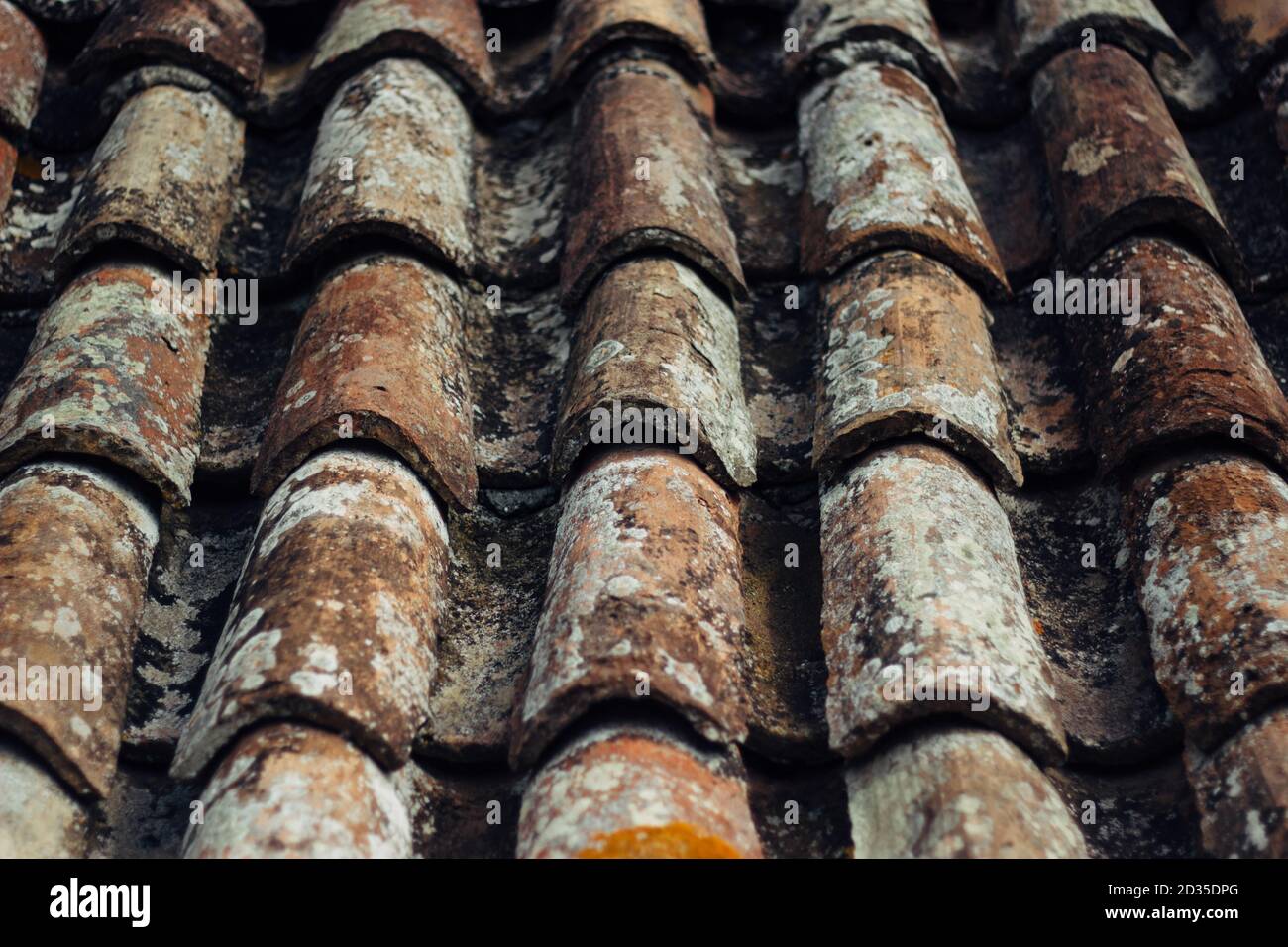 Detailed closeup of old, grungy shingle roof Stock Photo