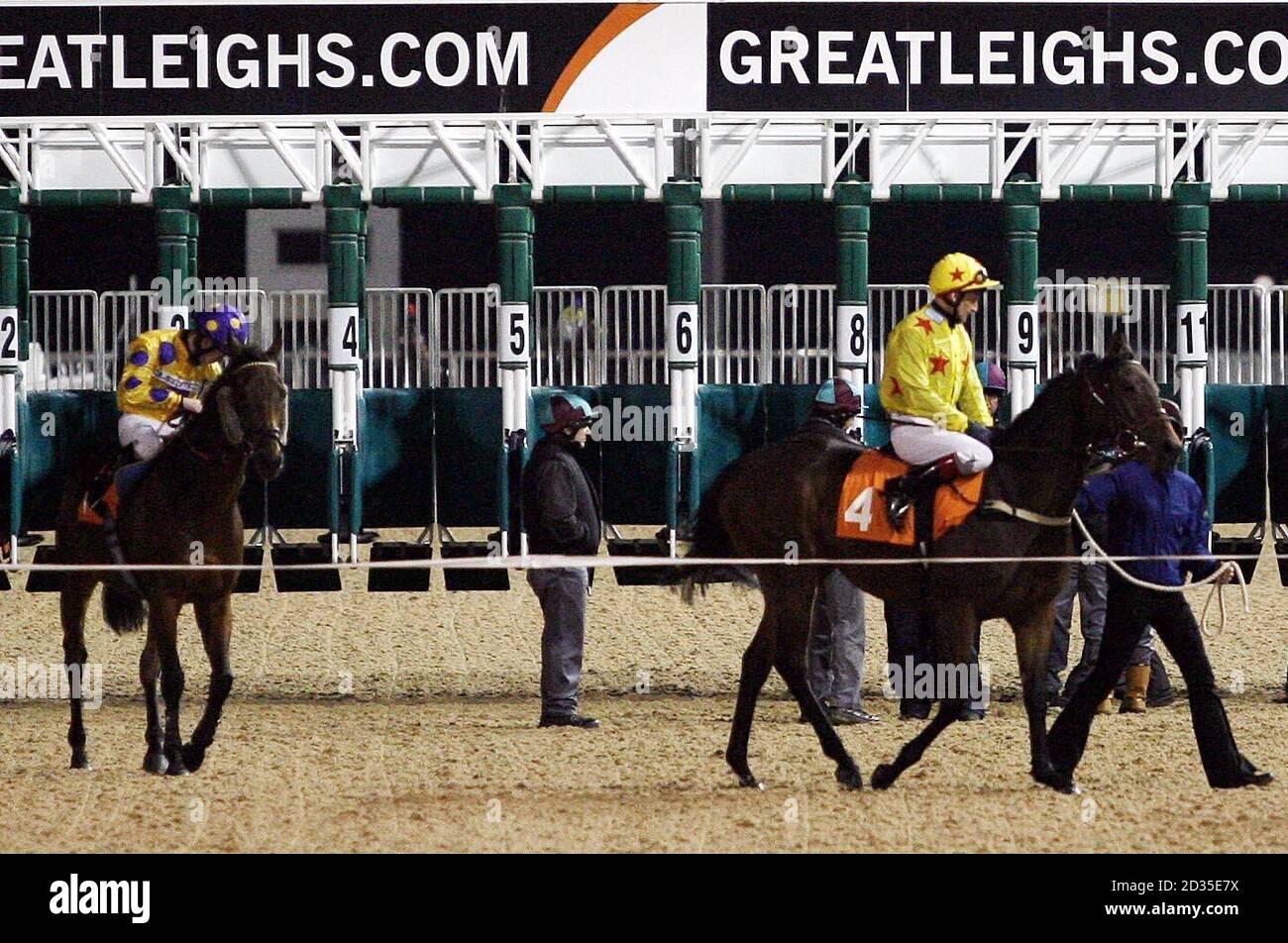 Jockey Dean McKeown on Well Informed (left) prior to the Banqueting At Great Leighs Handicap race after reciving his four year ban earlier today at Great Leighs Racecourse, Chelmsford. Stock Photo