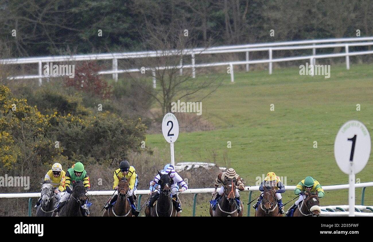 Runners make their way into the straight with eventual winner Daily Double an Dane O'Neill (left, yellow) in The freebets.co.uk free Bets For Chelsea v Man City Claiming Stakes at Lingfield Park Racecourse, Surrey. Stock Photo