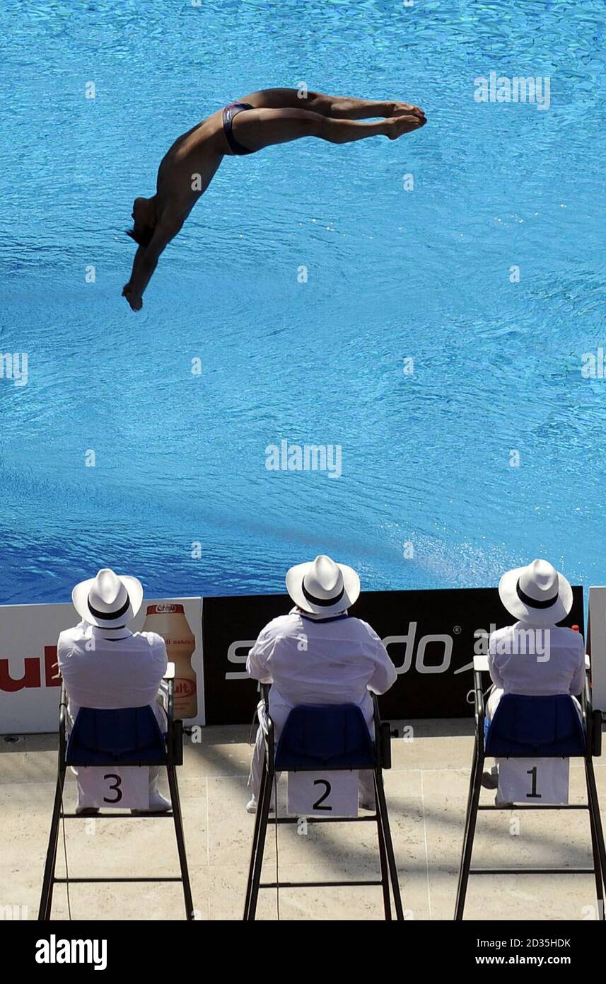 Judges watch the diving during the FINA World Swimming Championships in Rome, Italy Stock Photo