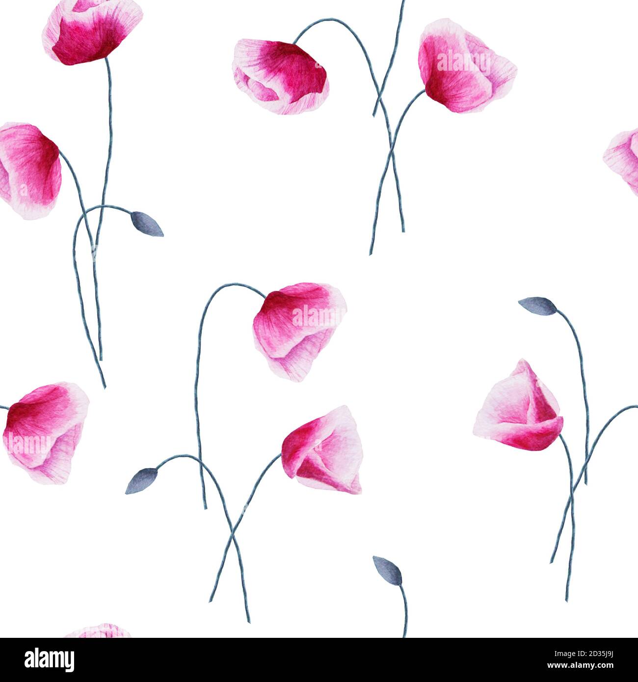 Seamless pattern with watercolor hand painted poppy flowers isolated on ...