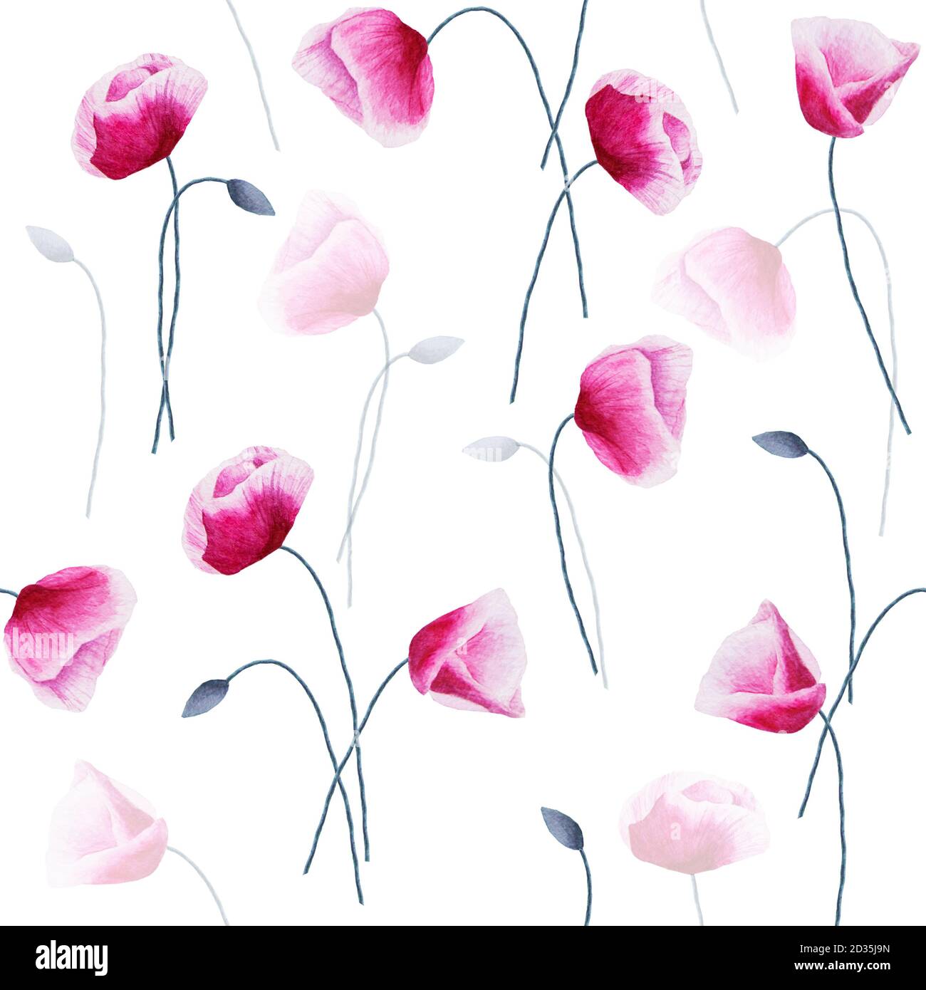 Seamless pattern with watercolor hand painted poppy flowers isolated on ...