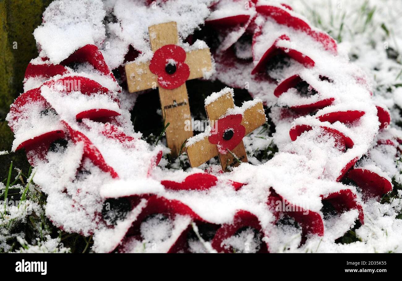 Snow covers Armistice Day wreaths and crosses at this memorial near Thirsk, as snowfall continues to spread across the east of the UK. Stock Photo