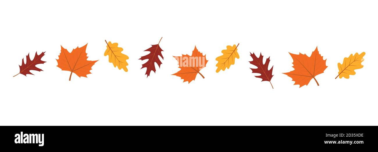 set of autumn leaves in the wind on white background vector ...