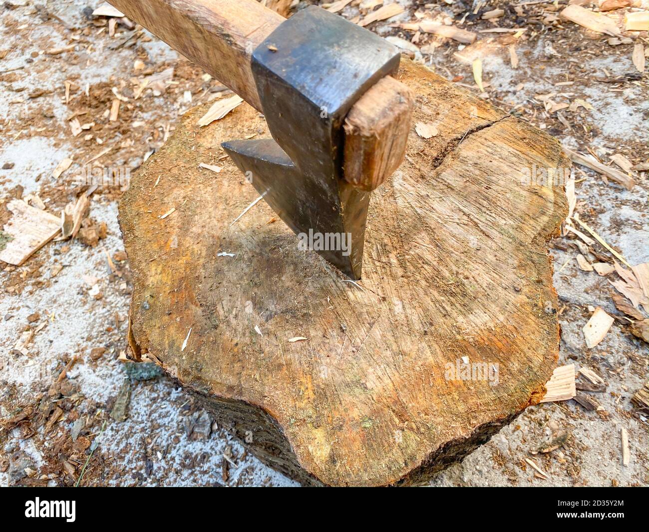 Cutting down trees with ax hires stock photography and images Alamy