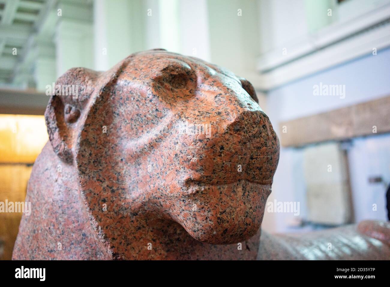 statue of King Amenhotep III as a lion (about 1390-1352 BC) Stock Photo