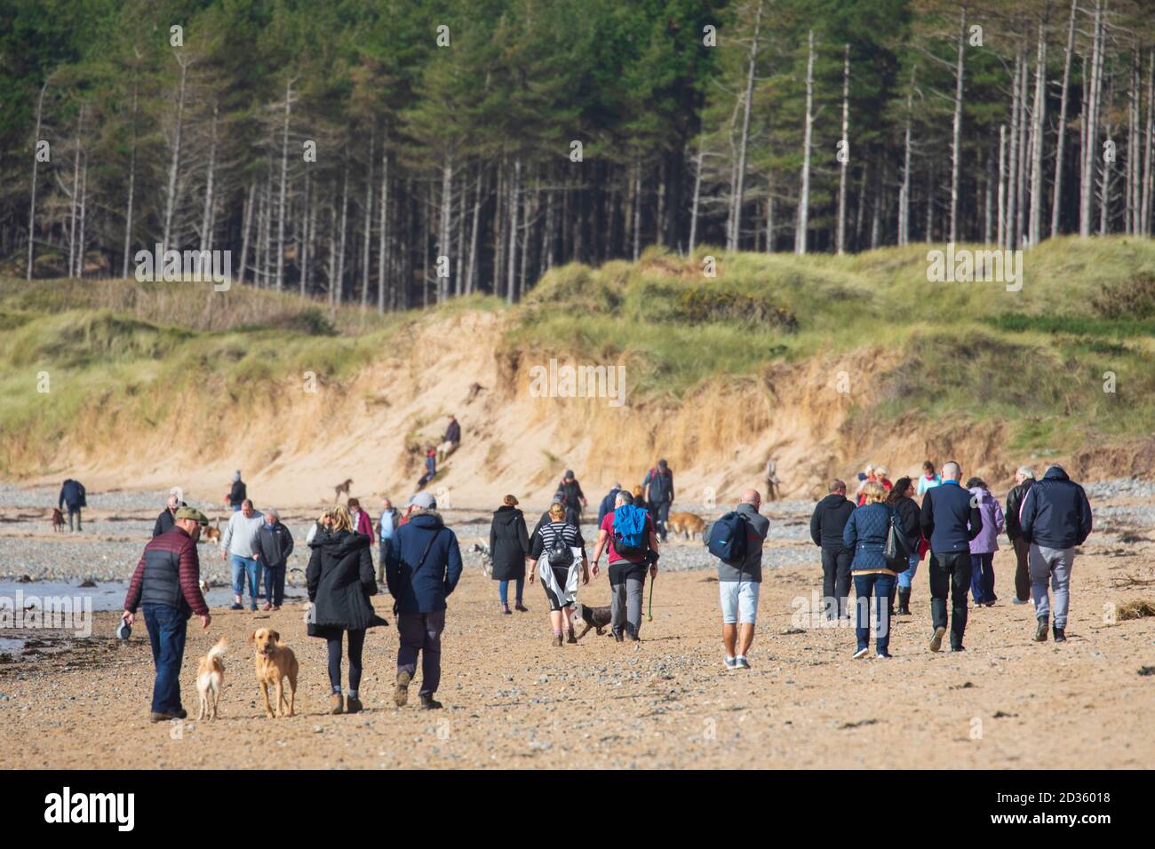Newborough, Anglesey, North Wales, UK. UK Weather: 7th October 2020 a fine warm day on Anglesey in between weather fronts, with another rain front expected to hit the UK on Friday. Beach goers enjoying the warm pleasant weather on Newborough Beach, Anglesey © DGDImages/AlamyNews Stock Photo