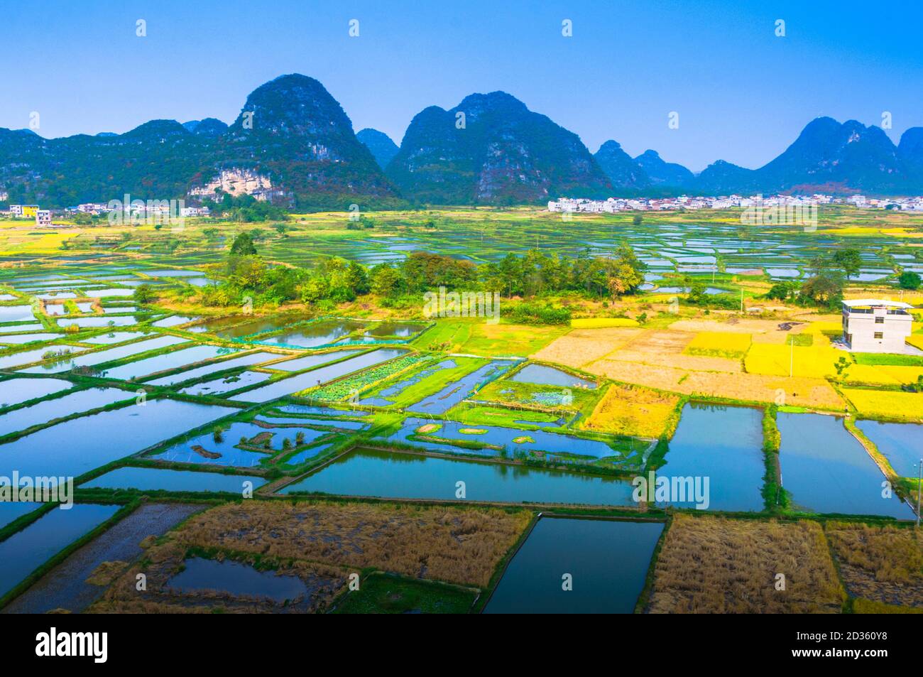 Rice field and mountain scenery in autumn Stock Photo