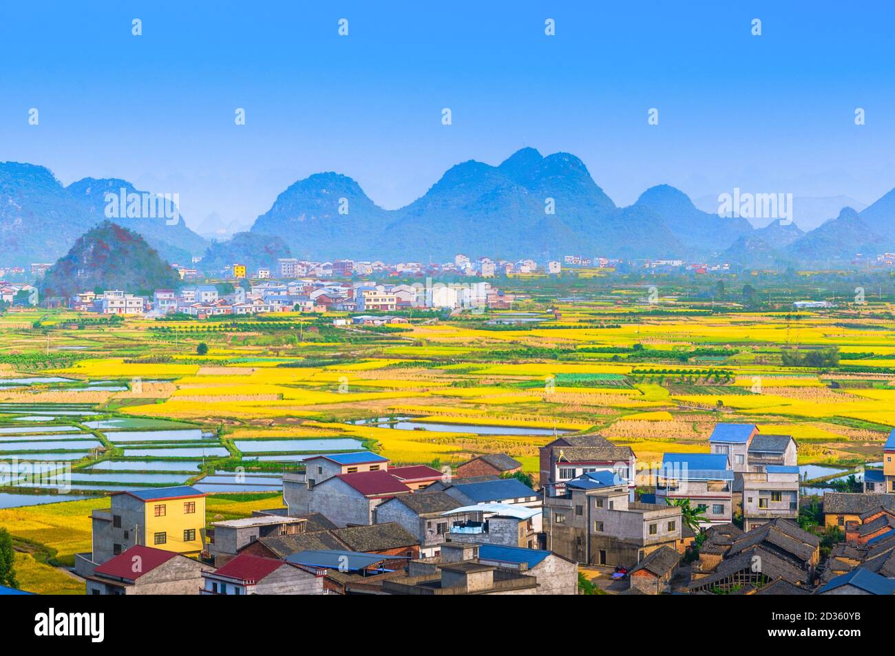 Rice field and mountain scenery in autumn Stock Photo