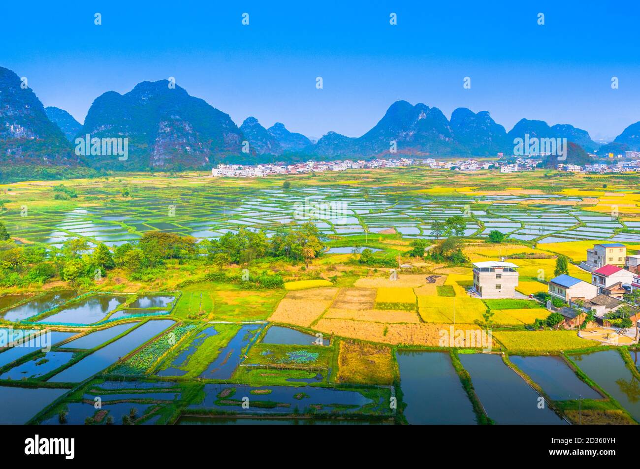 Rice field and mountain scenery in autumn Stock Photo
