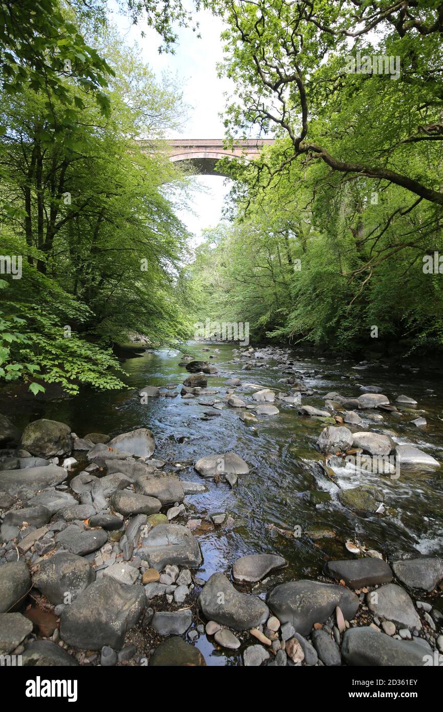 Ballochmyle, Ayrshire, 20 May 2019 Ballochmyle & Bridge The