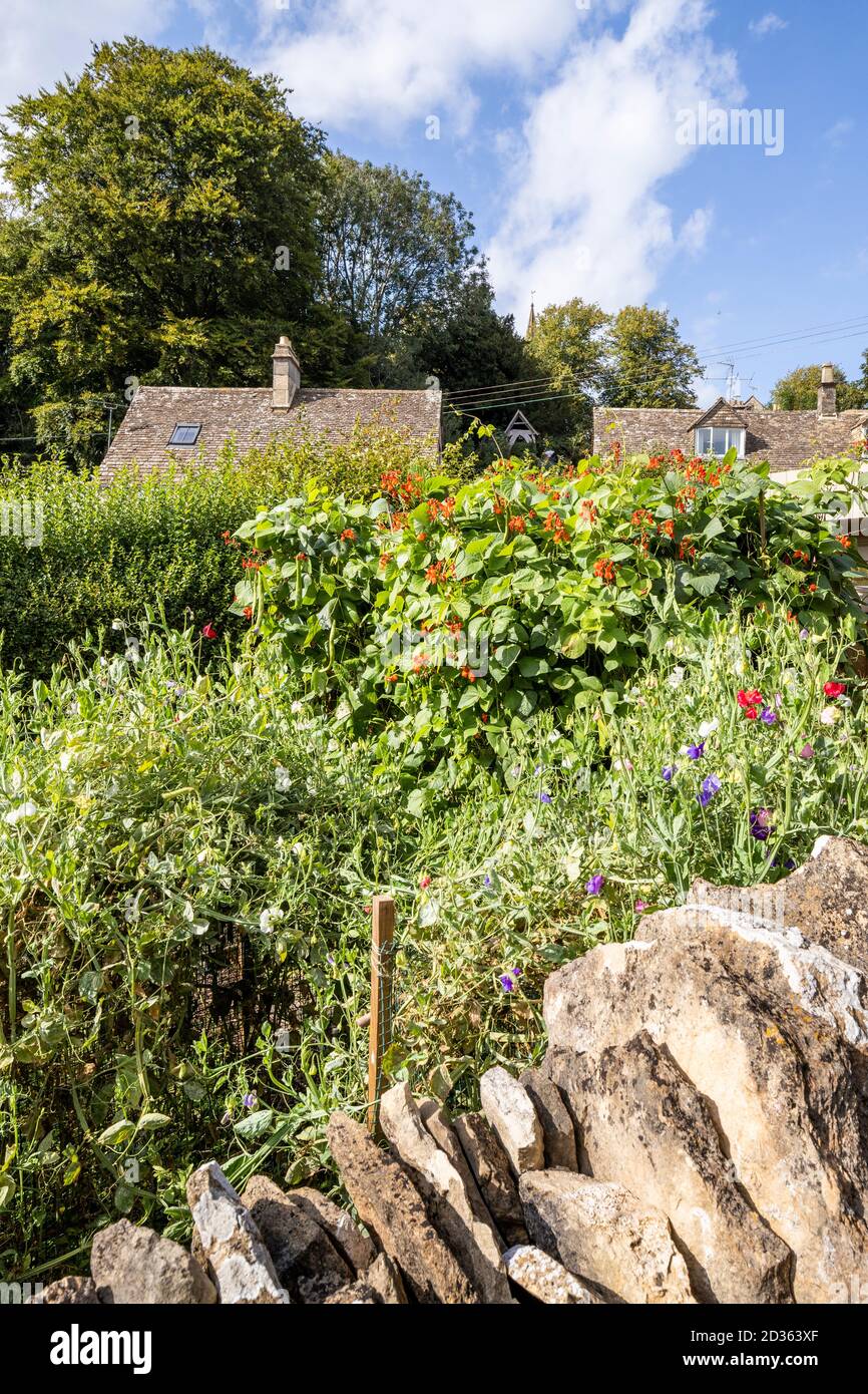 A productive cottage garden in the Cotswold village of Bisley, Gloucestershire UK Stock Photo