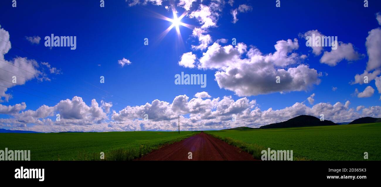 Long dirt road green field blue sky and clouds with sun Stock Photo - Alamy