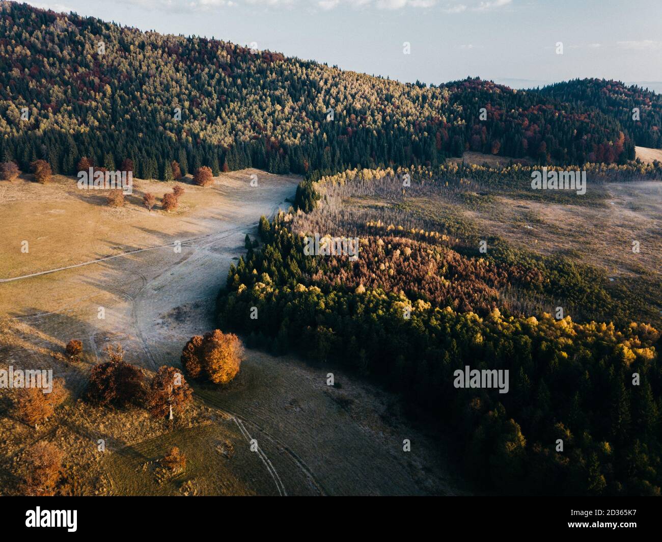 Colorful autumn trees sunrise hi-res stock photography and images - Alamy