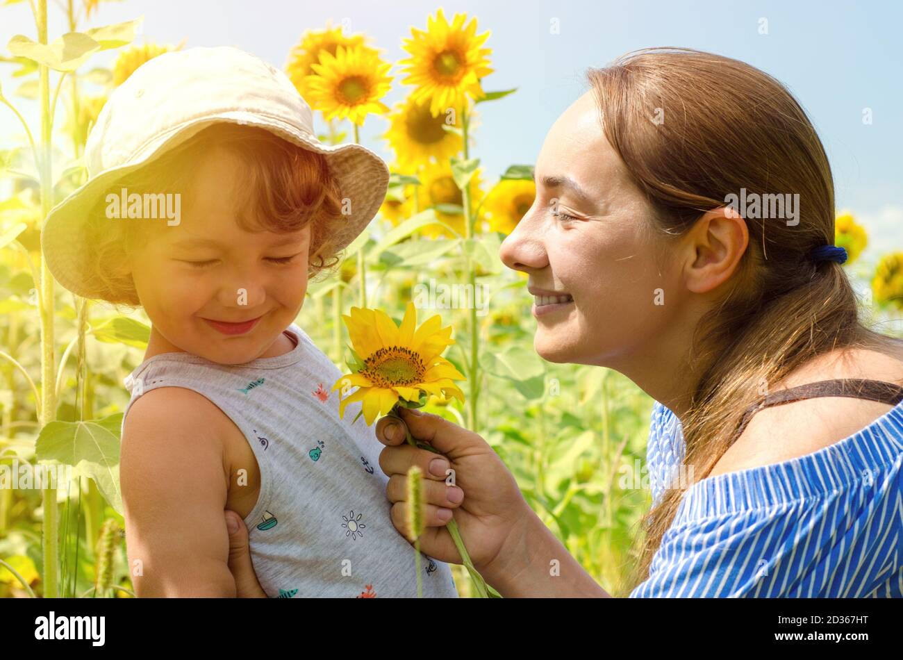 mother and baby in sunflowers field Stock Photo - Alamy
